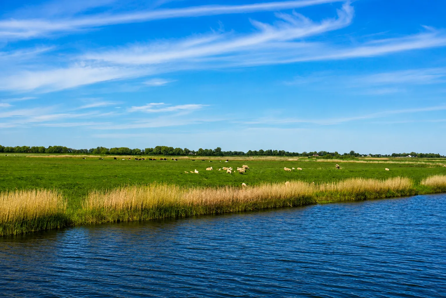 Store horisonter